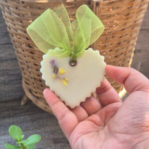 Soywax Wardrobe freshners