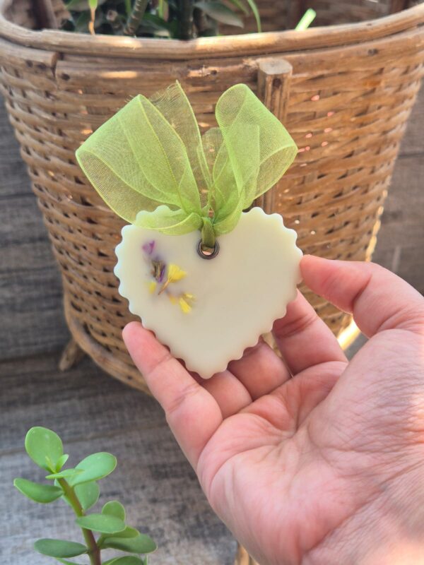 Soywax Wardrobe freshners