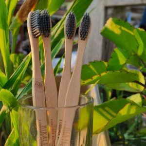 Bamboo toothbrush (pack of 4)