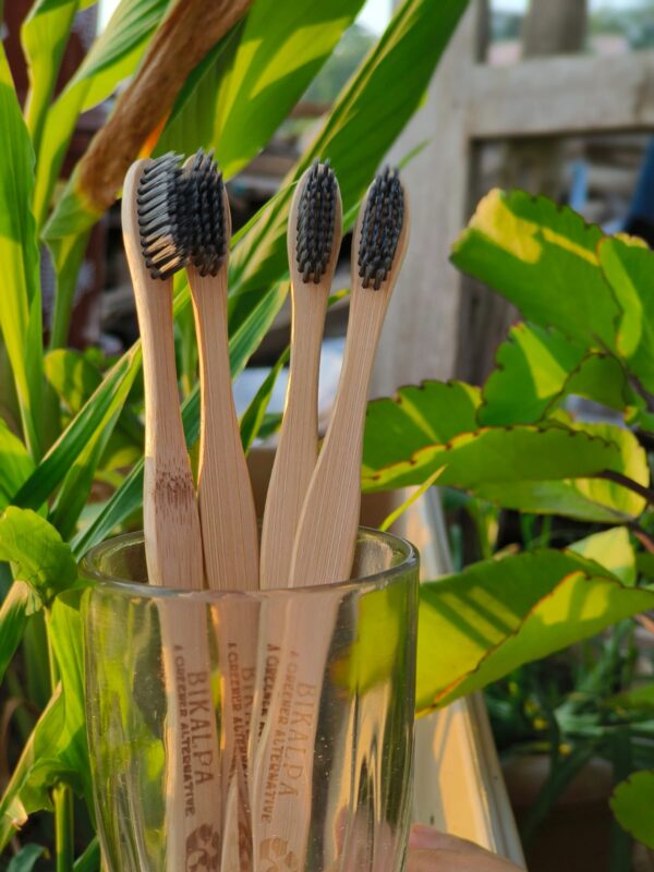 Bamboo toothbrush (pack of 4)